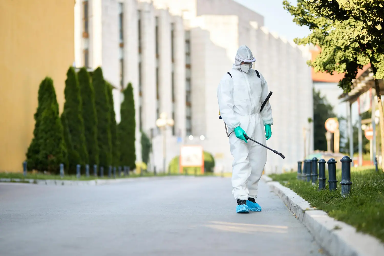 Commercial property treatment along a paved walkway